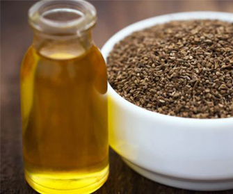 Ajwain Oil