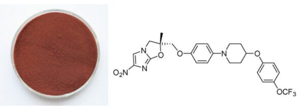 Pine Bark Extract