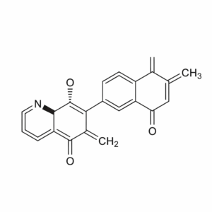 2-Hydroxypropyl Methacrylate (HPMA)