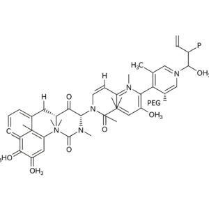 VP 6070 Waterborne polymer dispersant